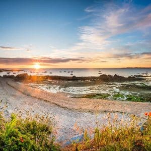 Panorama coucher de soleil océan depuis les falaises avec coquelicots rouges au premier plan et port de Toulru au fond