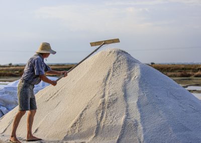 Paludier, marais salants de guérande